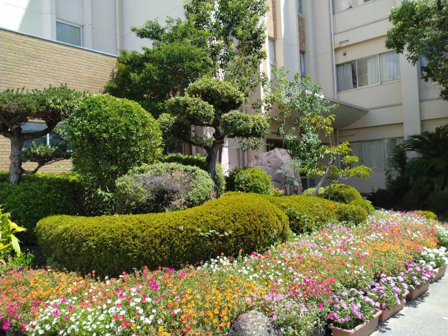 瑞穂の春7月_1