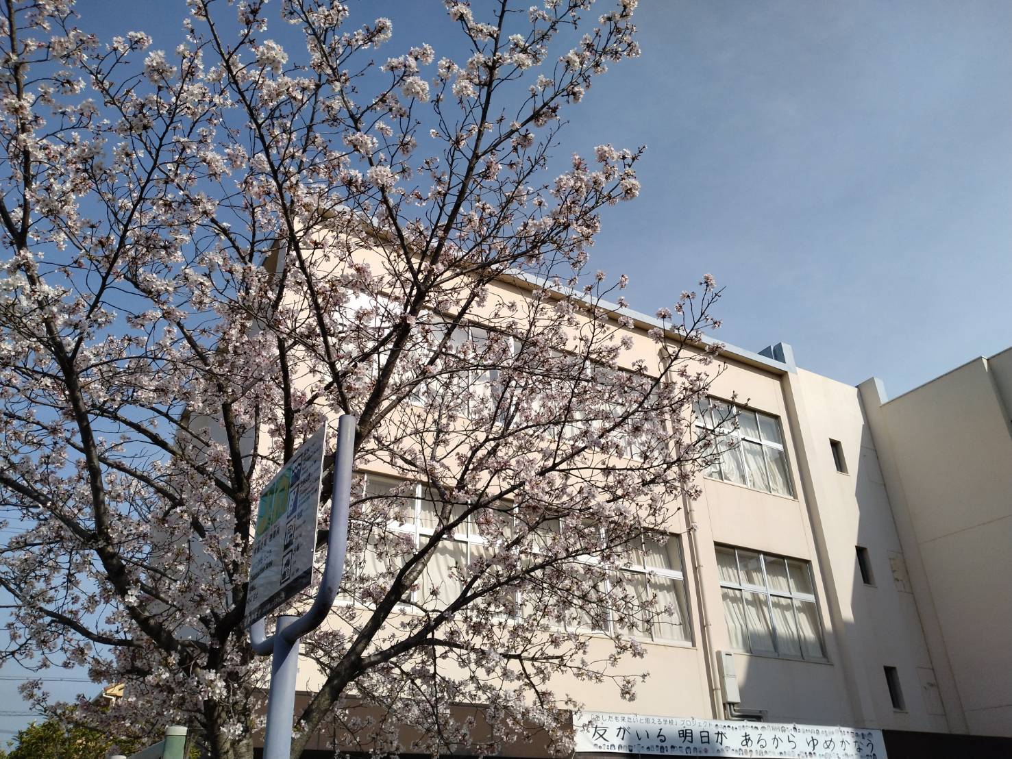 瑞穂の春4月_2