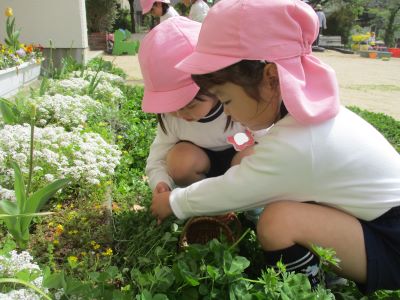 草花
