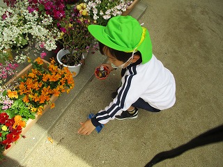 4月自然1