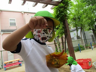 4月自然7