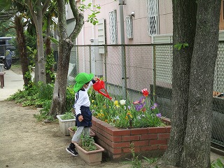 4月自然8