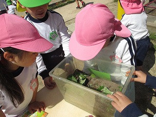 好きな遊び戸外