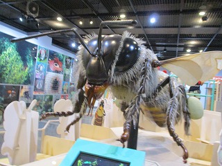 昆虫館16
