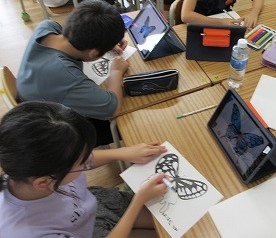 黒に塗るところカラフルな色を塗るところ・・・考えながら自分だけのチョウに
