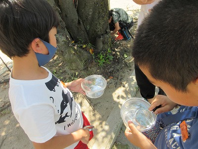 「見つけられた?」「3匹見つけたよ」