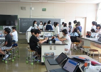 植物クイズなど 全校生に学校の草花について知ってもらうために考えました。