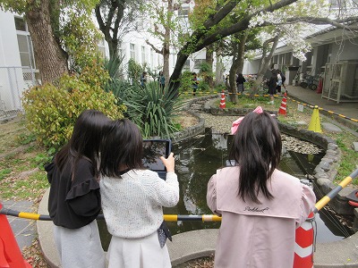 生き物見つけです。この子たちの後ろには「1匹のあり」を見つけて5~6人が集まっていました。