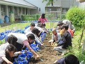 わあ、土の中から虫が出てきたー
