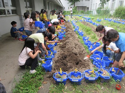 トマトやピーマンなど野菜を植えました。