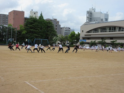 応援練習のための 先生によるつなひき