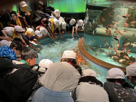 水族館1