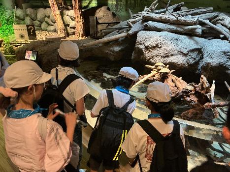 水族館2
