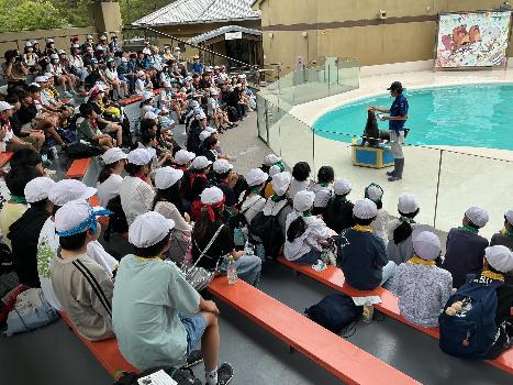 水族館3