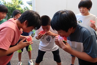41yu