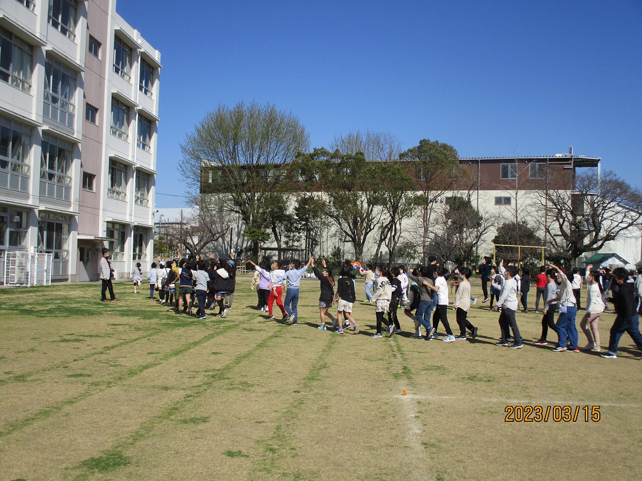46oku