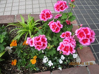 玄関花