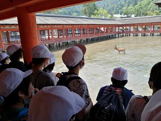 itukusima