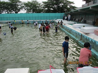 koinohikkosi1