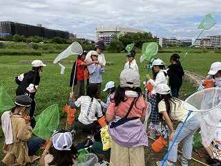 kon6