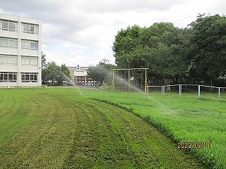kus6