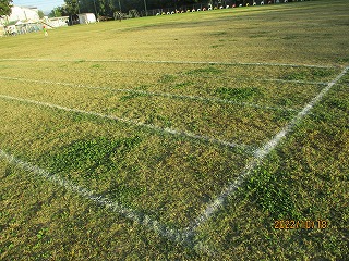 u-11
