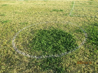 u-12
