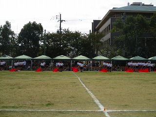 udd13