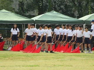 udd15