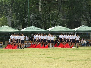 udd16