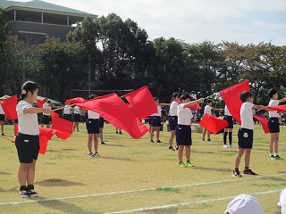 udd20