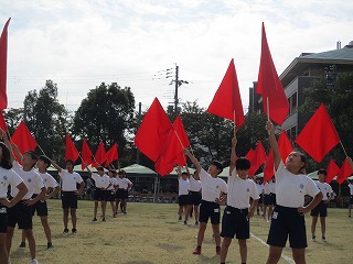udd22
