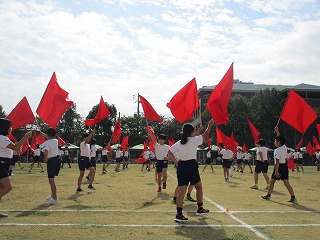 udd28