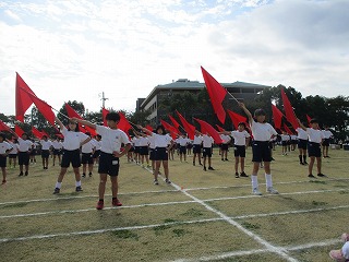 udd33