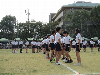 udd41