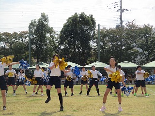 udd53