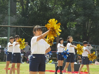 udd54