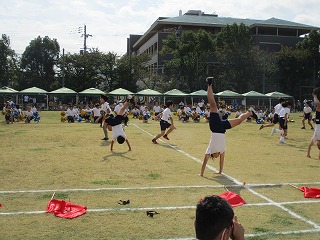 udd62