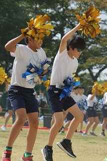 uny6
