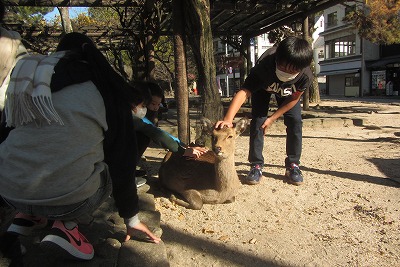 1210_6_25.jpg