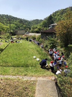 自然探索