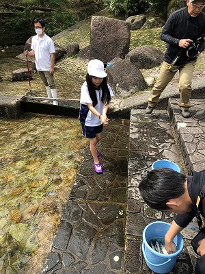 あまごつかみ