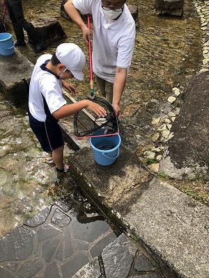あまご