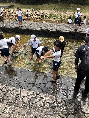 あまごつかみ