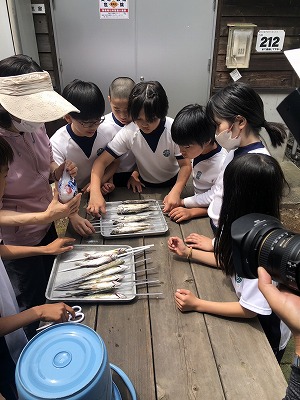 塩ふり