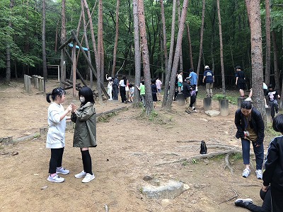 冒険の森