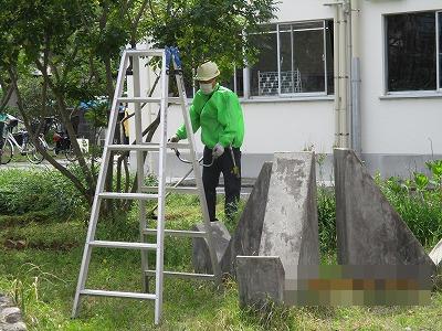 植木の剪定1