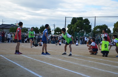 6年3