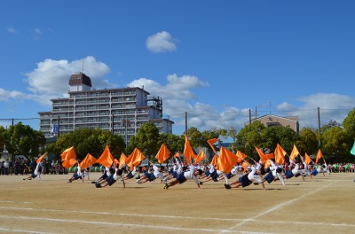 白組