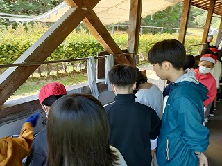 米とぎ